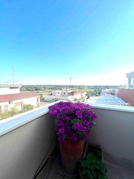Super Attico Sul Parco Della Caffarella Apartment Rom
